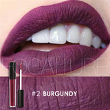 ANZAR Waterproof Matte Liquid Lipstick
