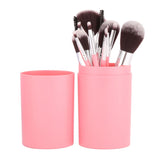Kit D1 12Pcs + Case By ANZAR